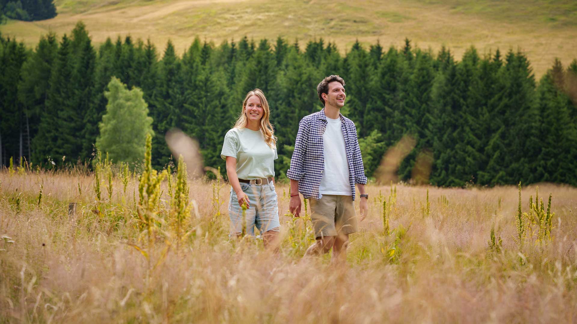 immagine-copertina-video-promo-visit-trento